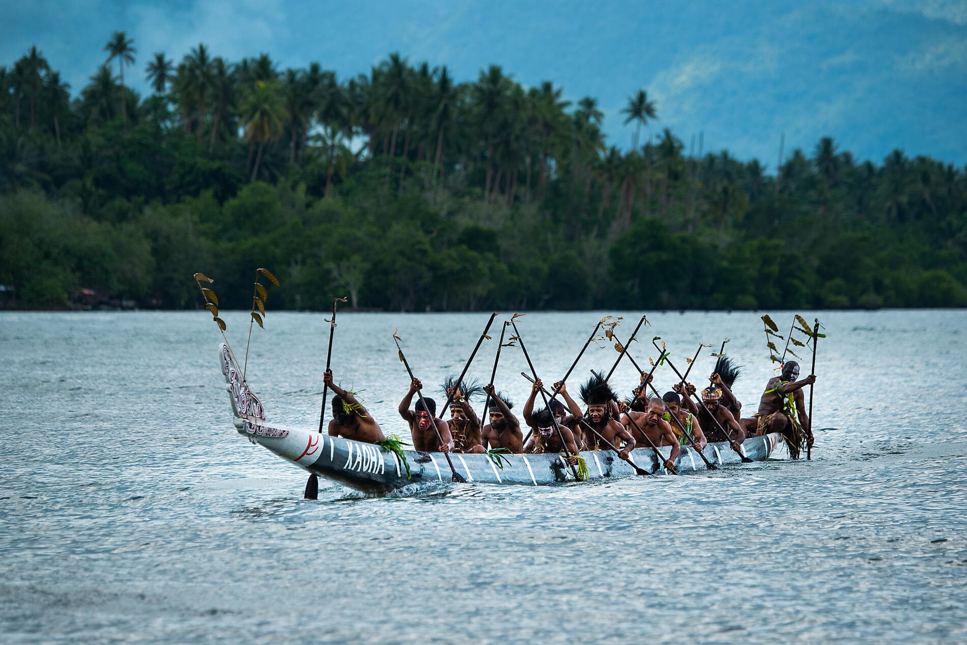New Guinea Odyssey 