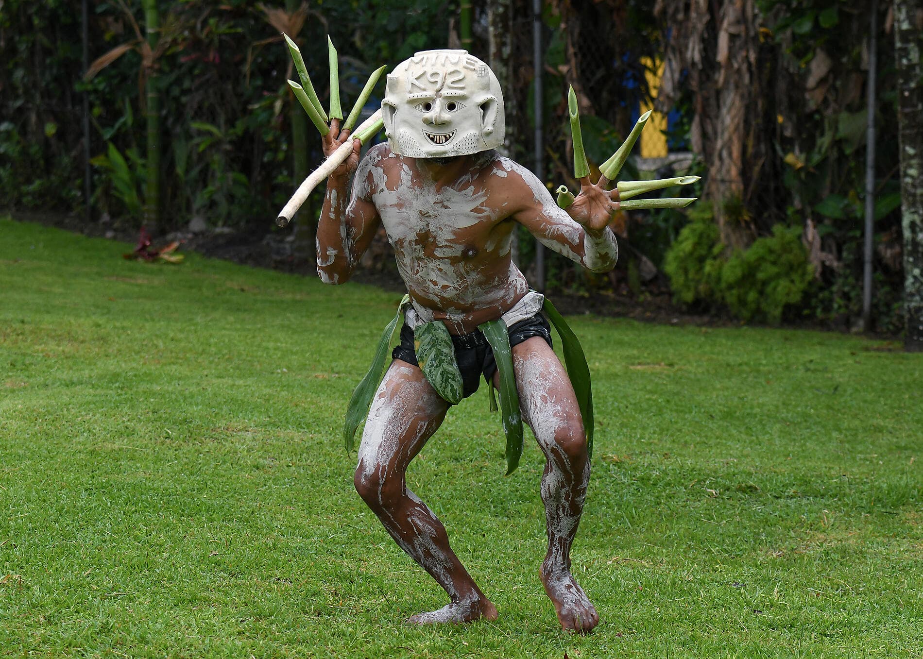 New Guinea Odyssey 