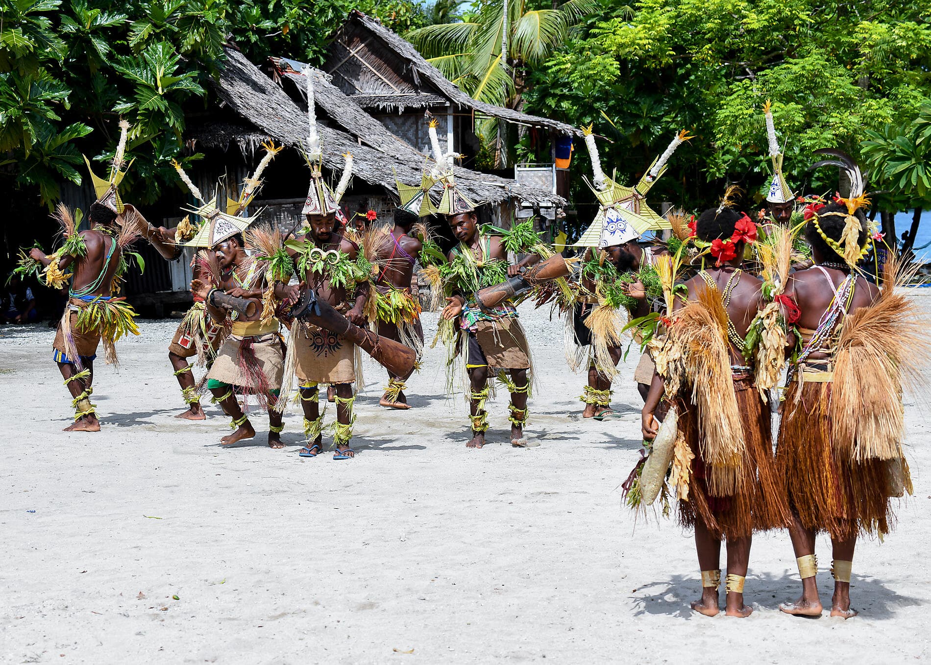 New Guinea Odyssey 