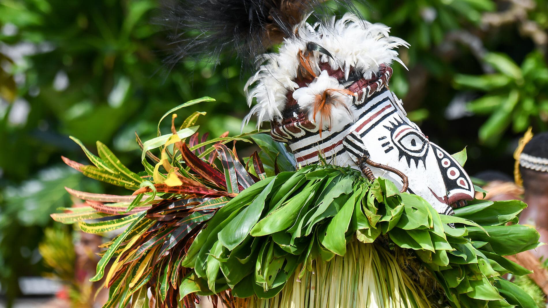 New Guinea Odyssey 
