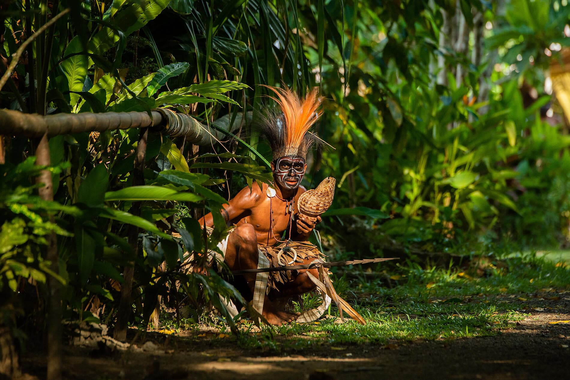 New Guinea Odyssey 