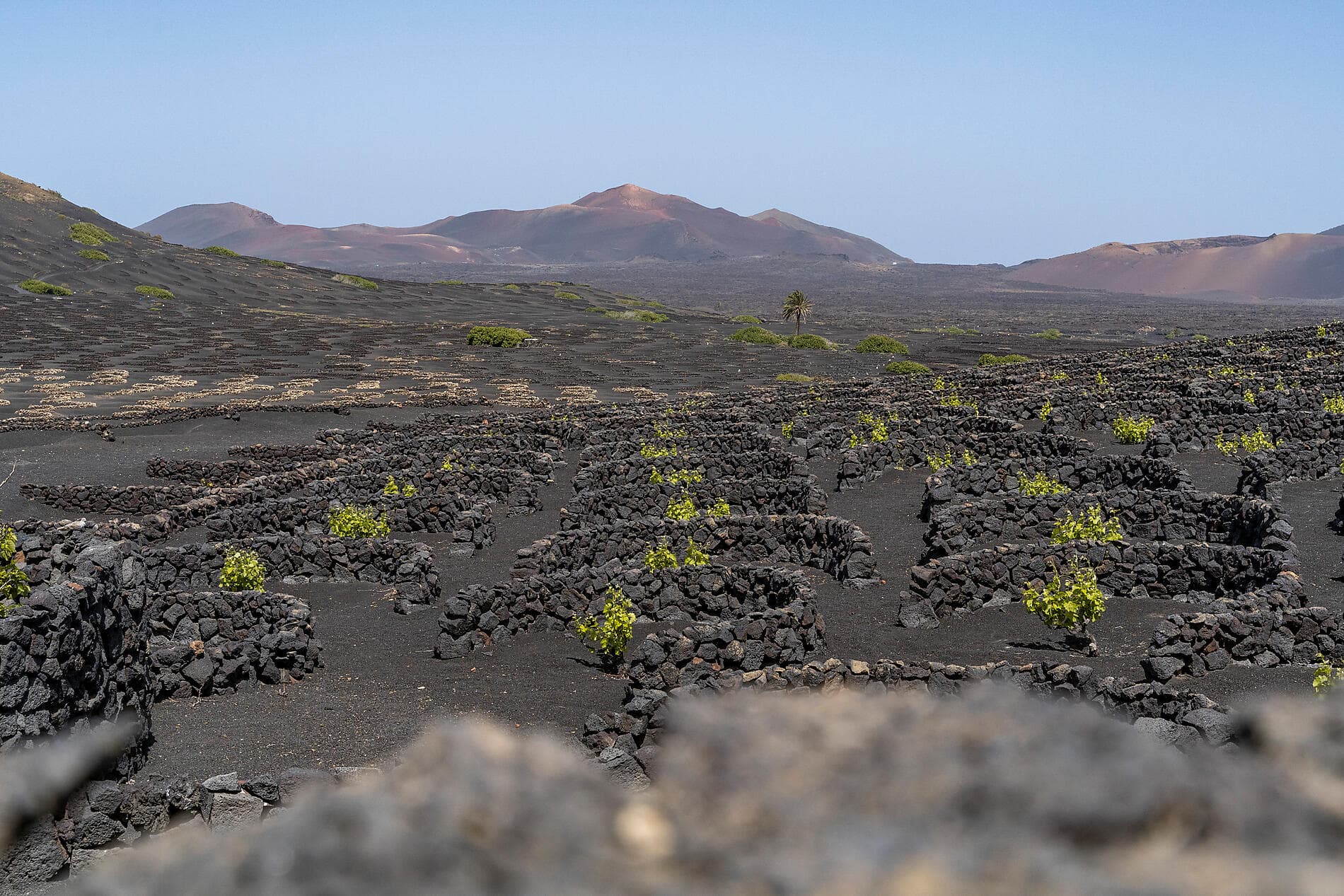 Volcanic landscapes from Cape Verde to Canary Islands 