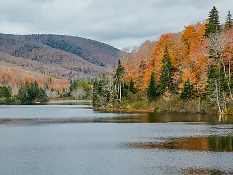 14 Feb 27 - Exploring River Saint Lawrence