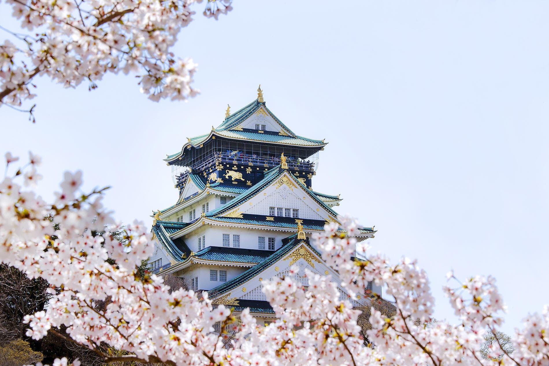 The best of Japan 