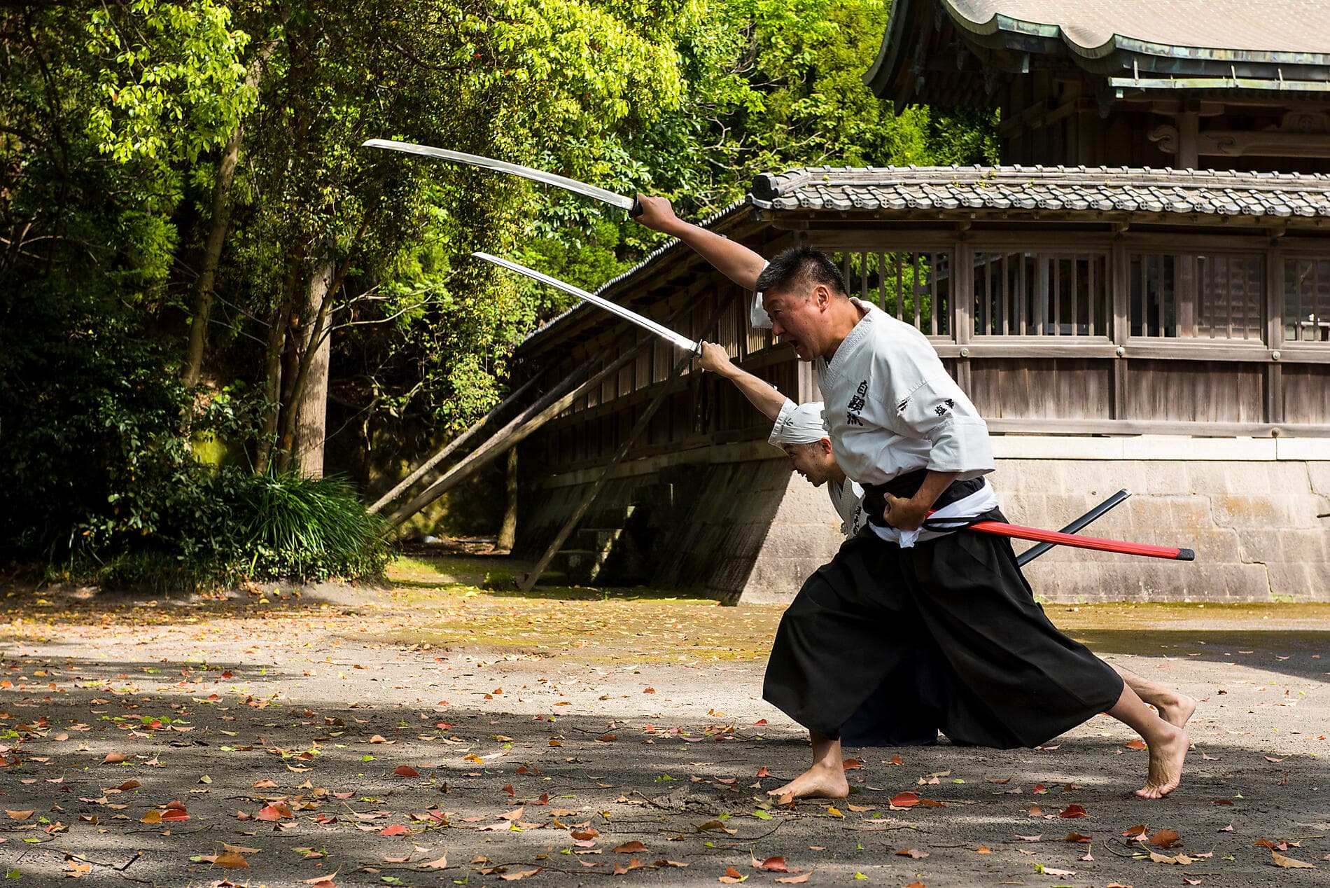 The best of Japan 