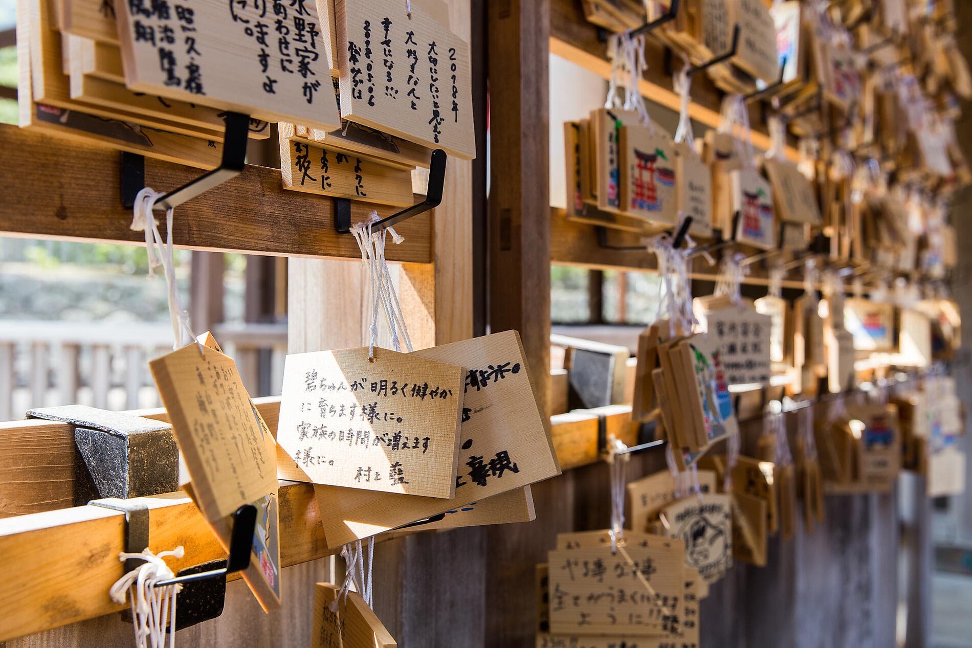 The best of Japan 