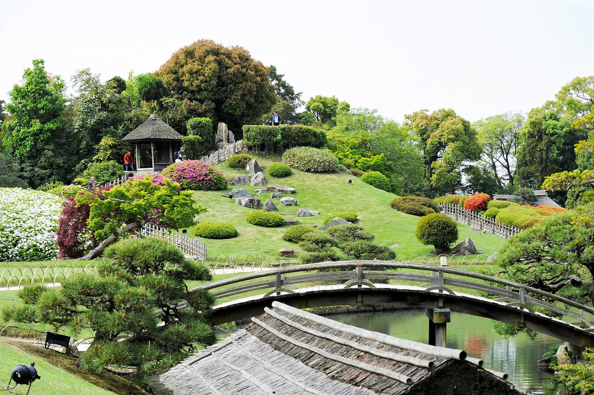 The best of Japan 
