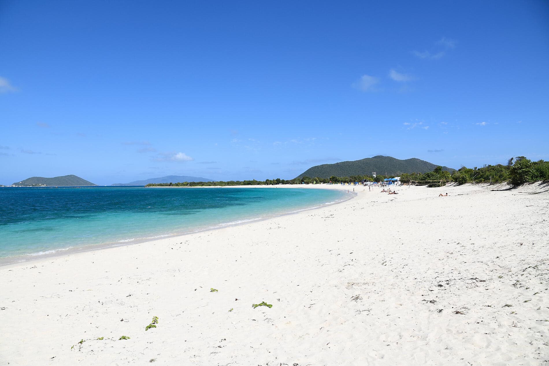 Caribbean Flavours 
