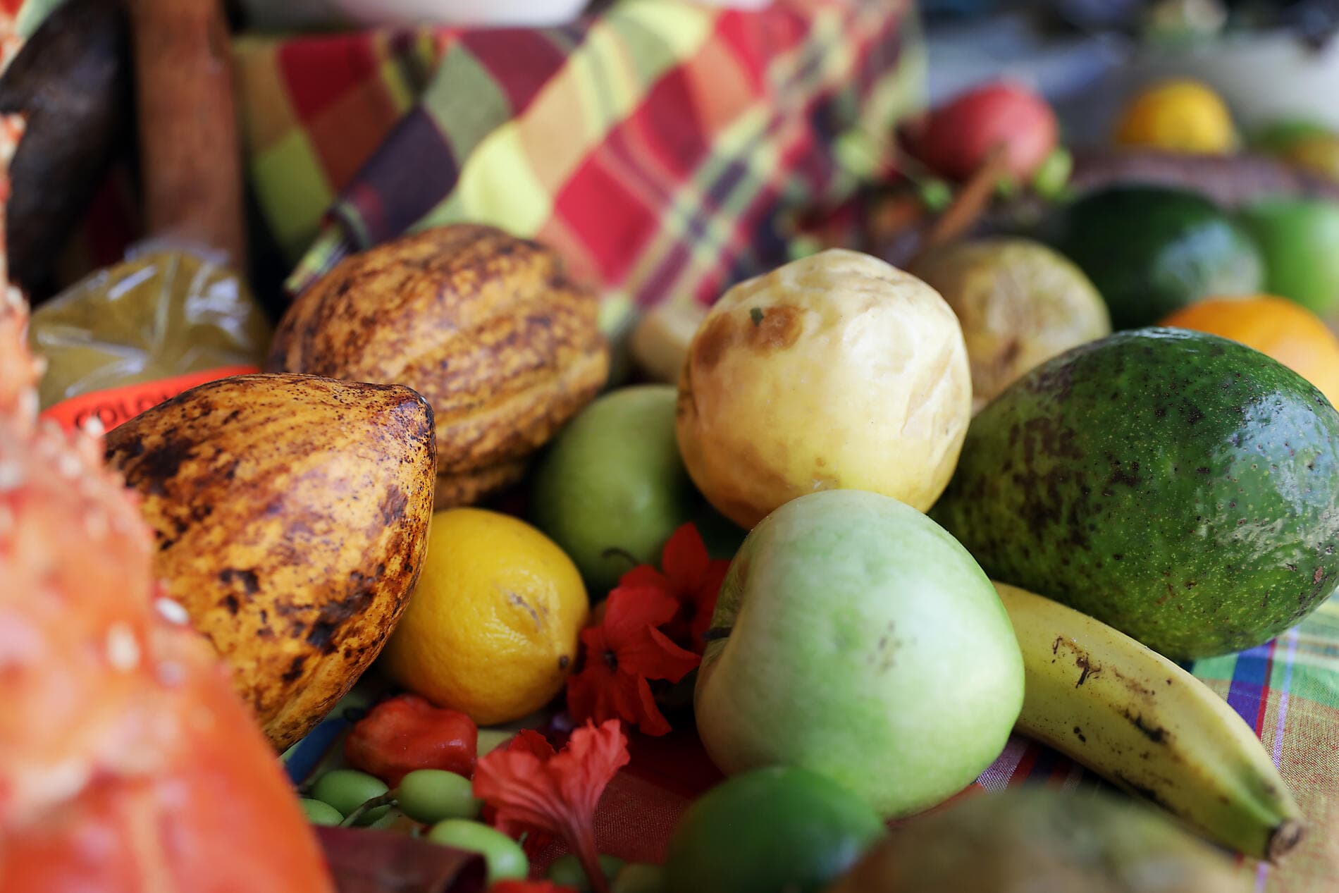 Caribbean Flavours 