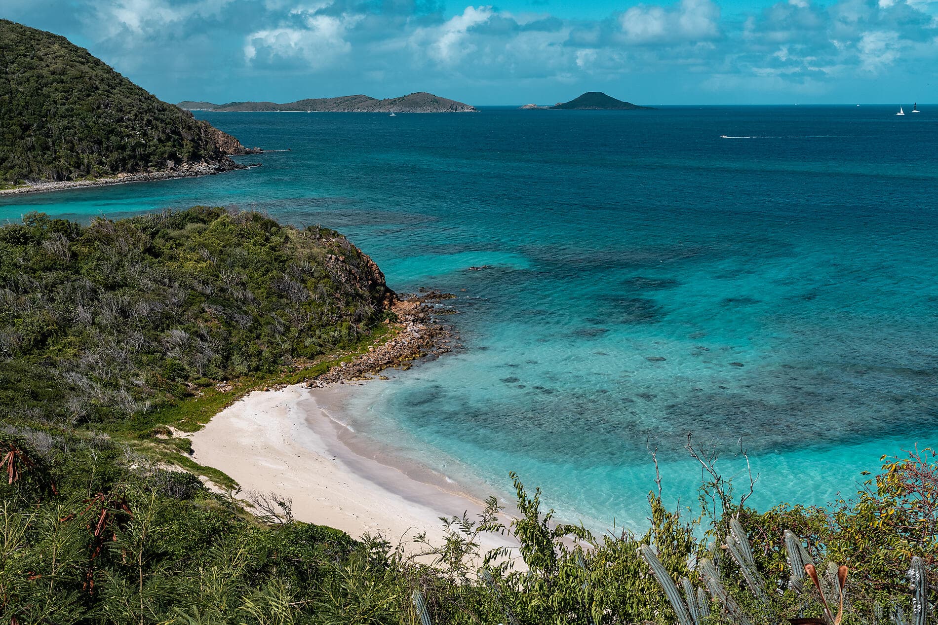 Caribbean Flavours 