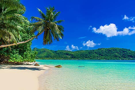 23 Jan 26 - Anse à la Mouche