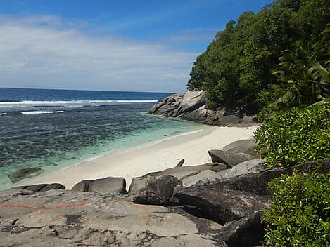 22 Jan 26 - Middle Island
