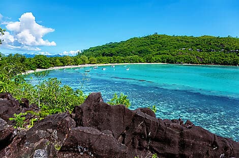 19 Jan 26 - Port Launay Marine National Park