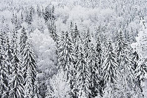 FINNISH WILDERNESS AND NORDIC CULTURE IN HELSINKI (1 NIGHT)