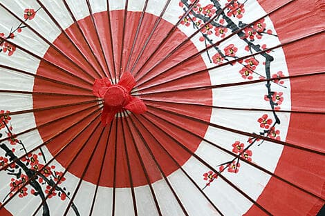 RELAXING IN JAPAN (1 NIGHT)