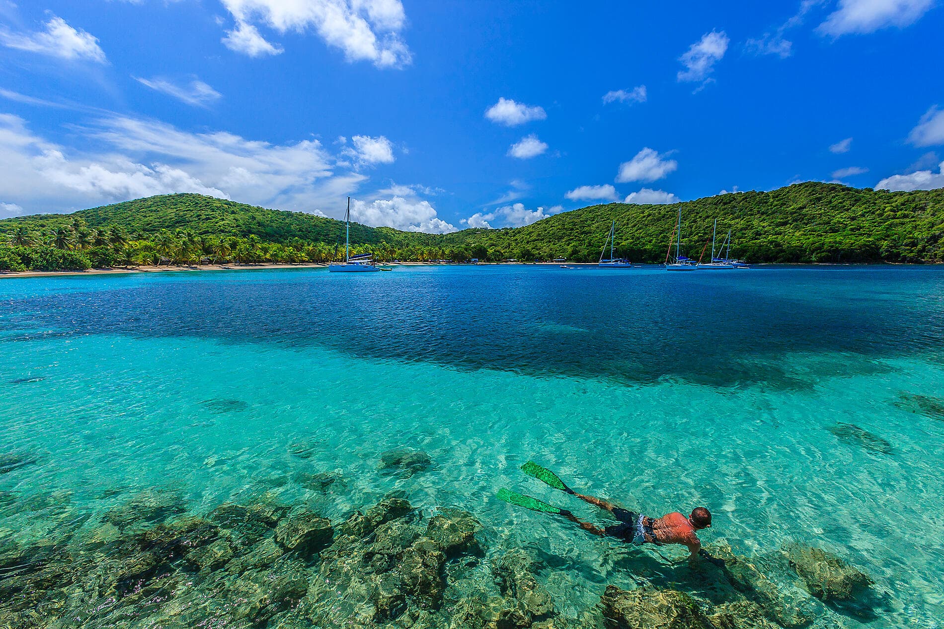 The Essentials of the Caribbean 