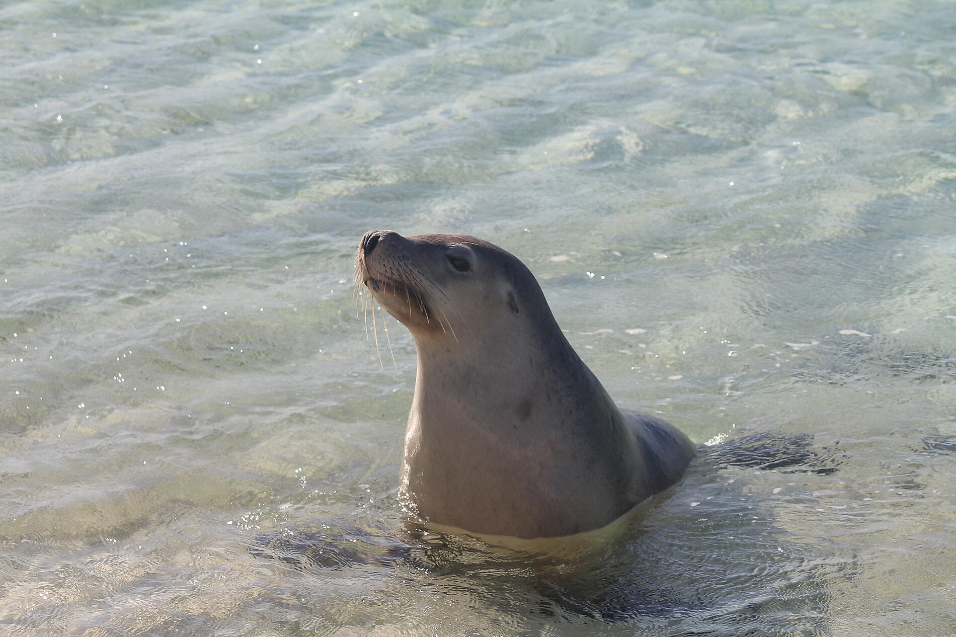 Australia’s West Coast Odyssey 