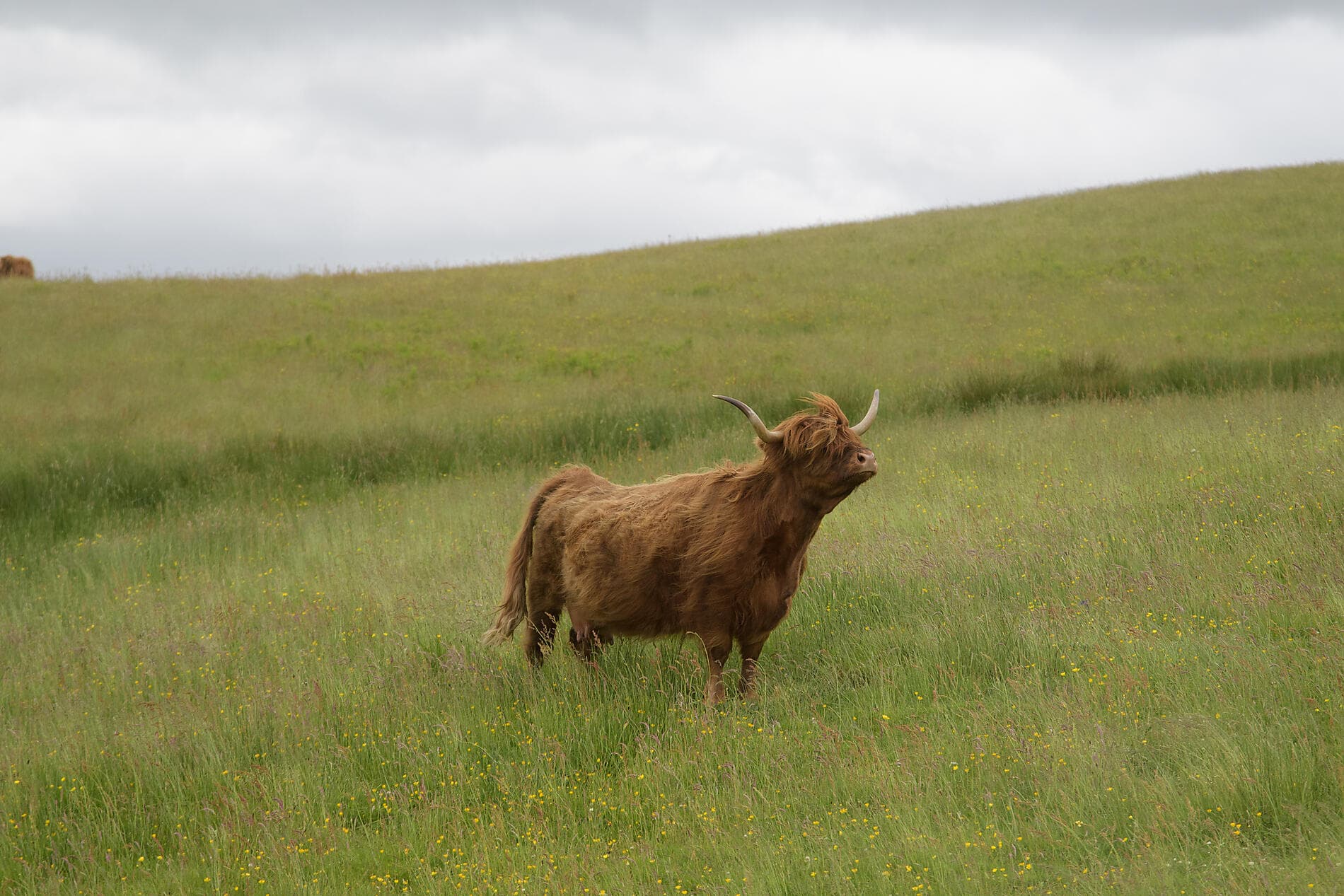 Mythical islands and wild landscapes of the Hebrides 