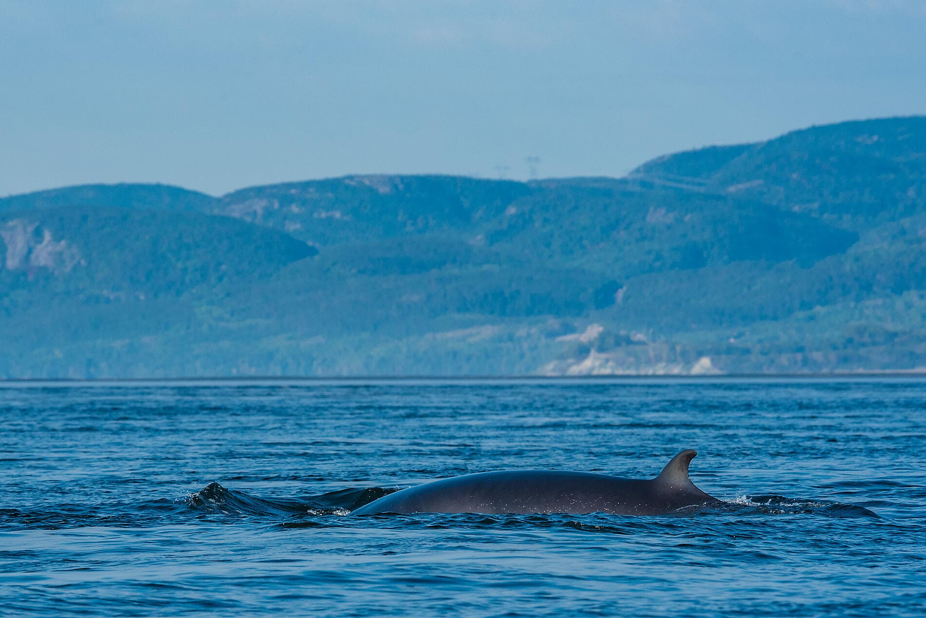 From Québec to the Big Apple: nature & remarkable cities 
