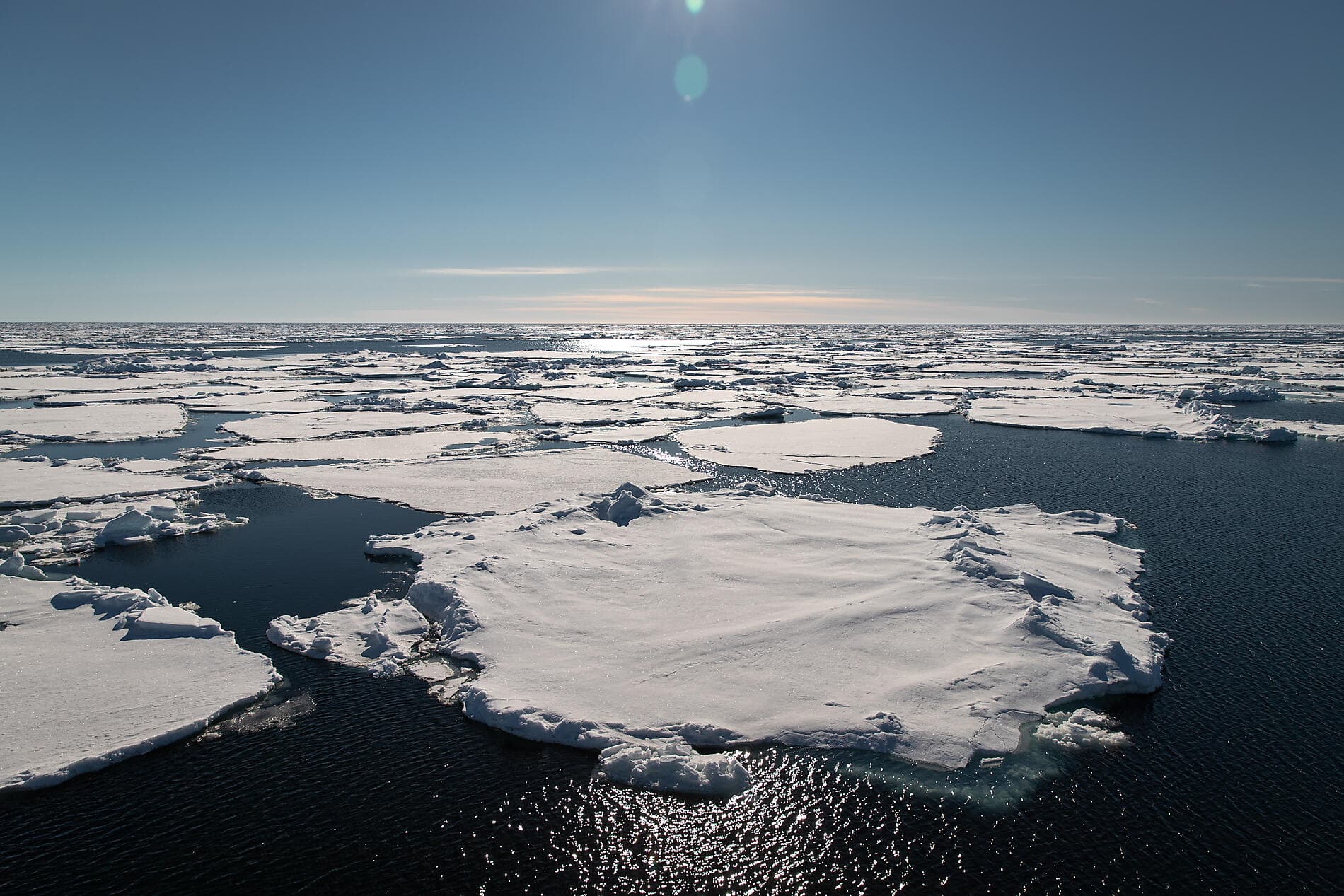 In the ice of the Arctic, from Greenland to Svalbard 