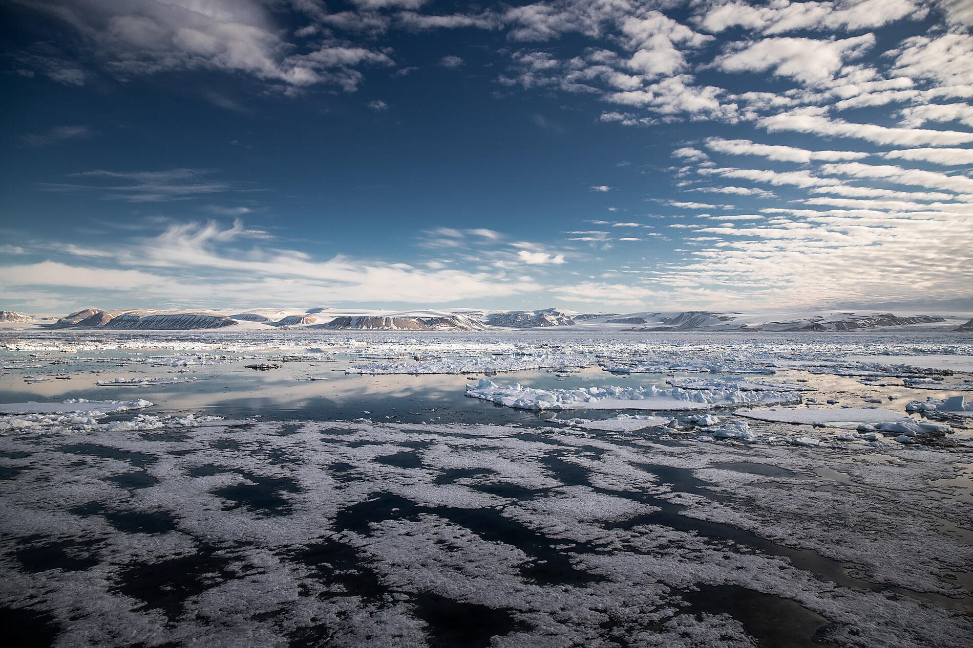In the ice of the Arctic, from Greenland to Svalbard 
