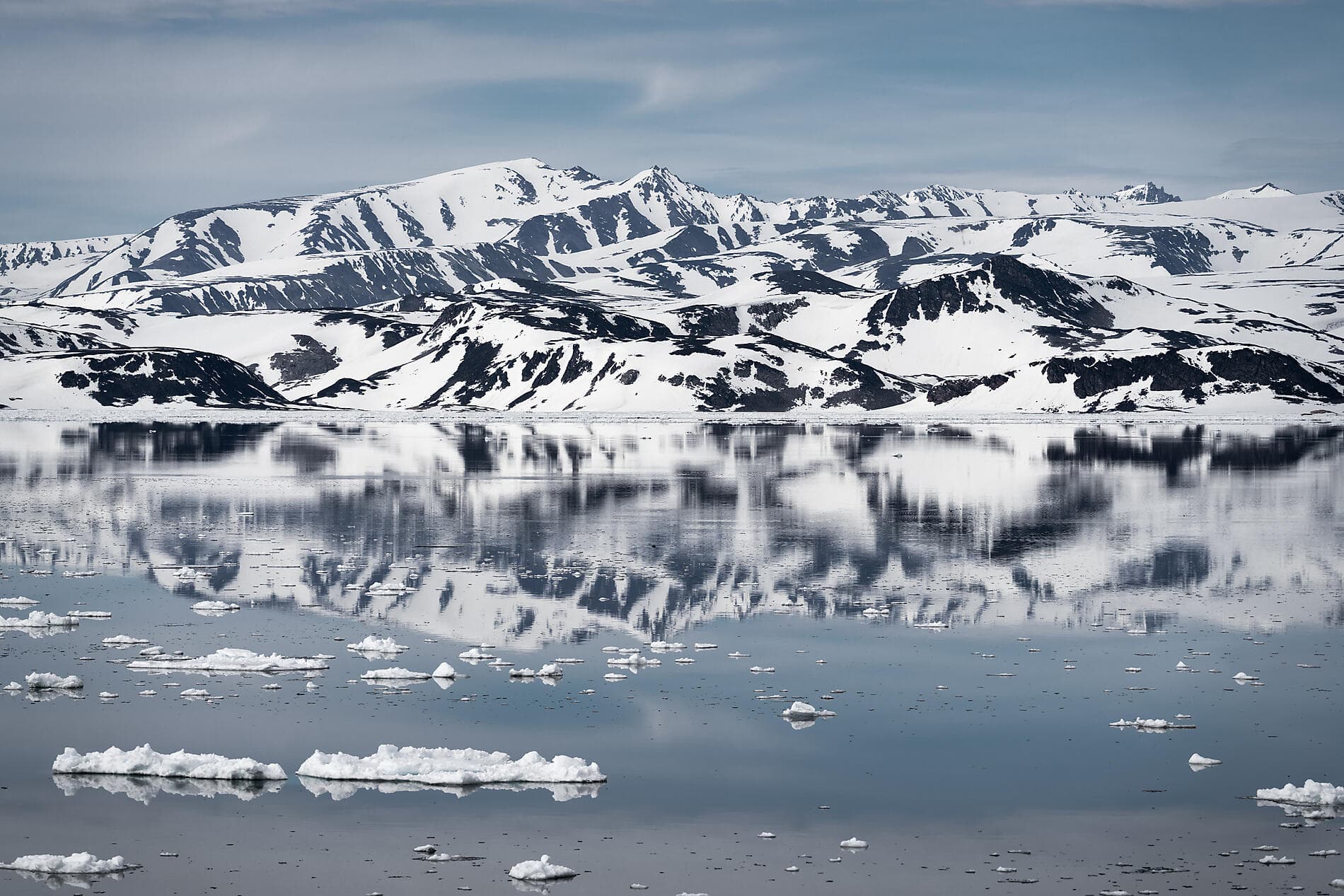 In the ice of the Arctic, from Greenland to Svalbard 