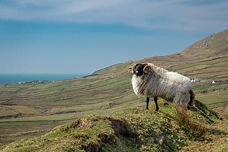 16 May 27 - Clare Island