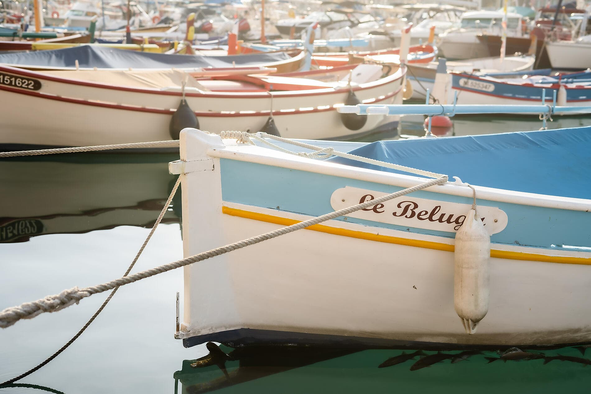 Isle of Beauty and Iberian shores