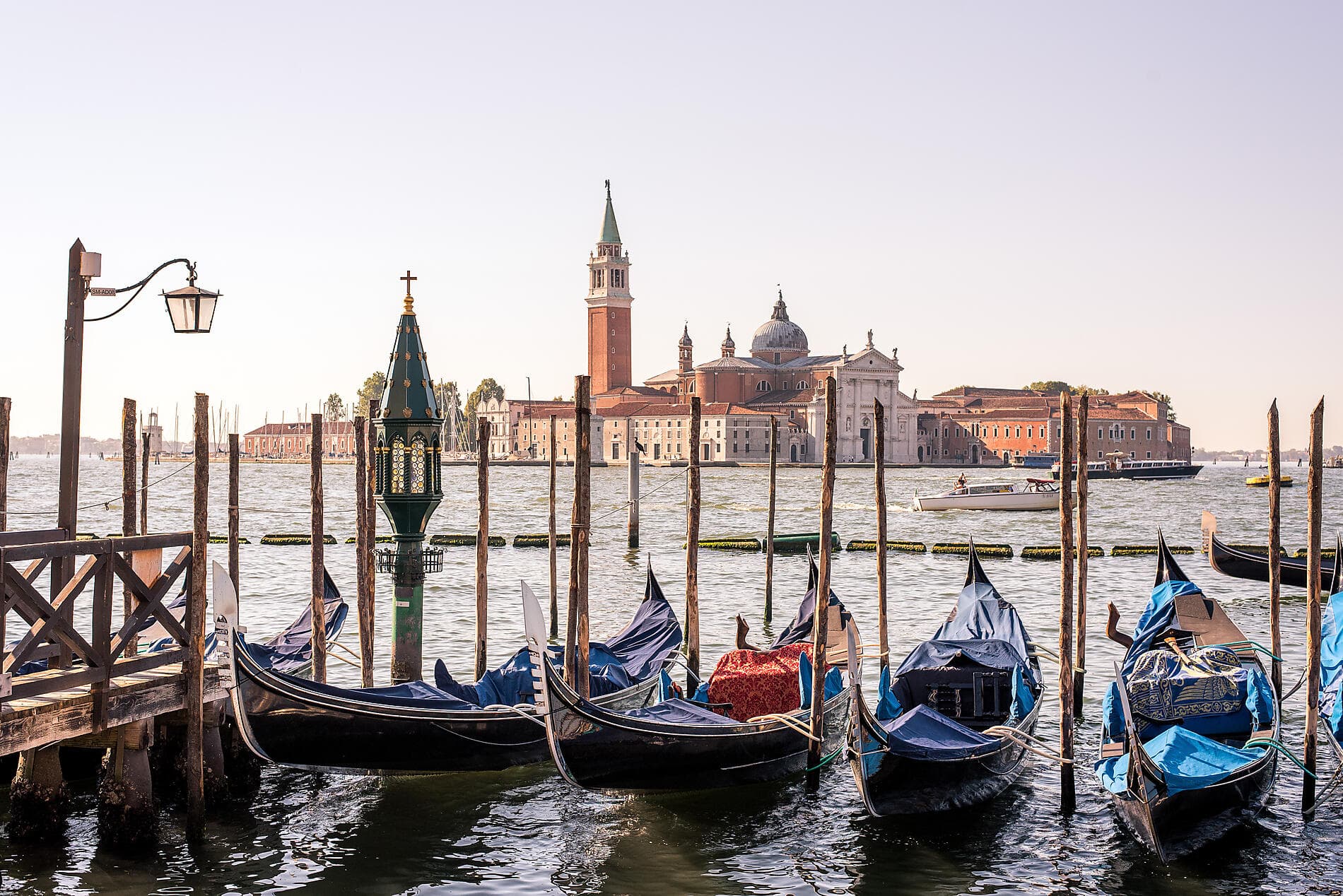 Artistic Adriatic with Pinault Collection  