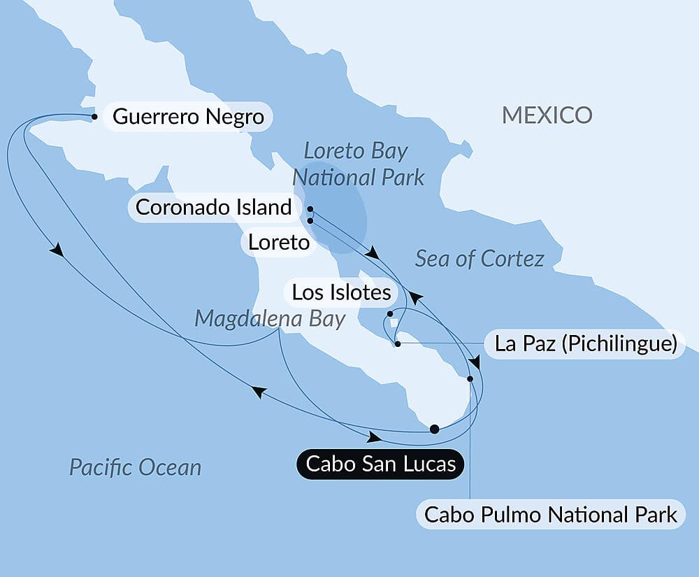 Baja and the Sea of Cortez: In Search of the Great Whales – with Smithsonian Journeys