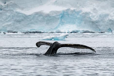 16 Feb 28 - George V Land