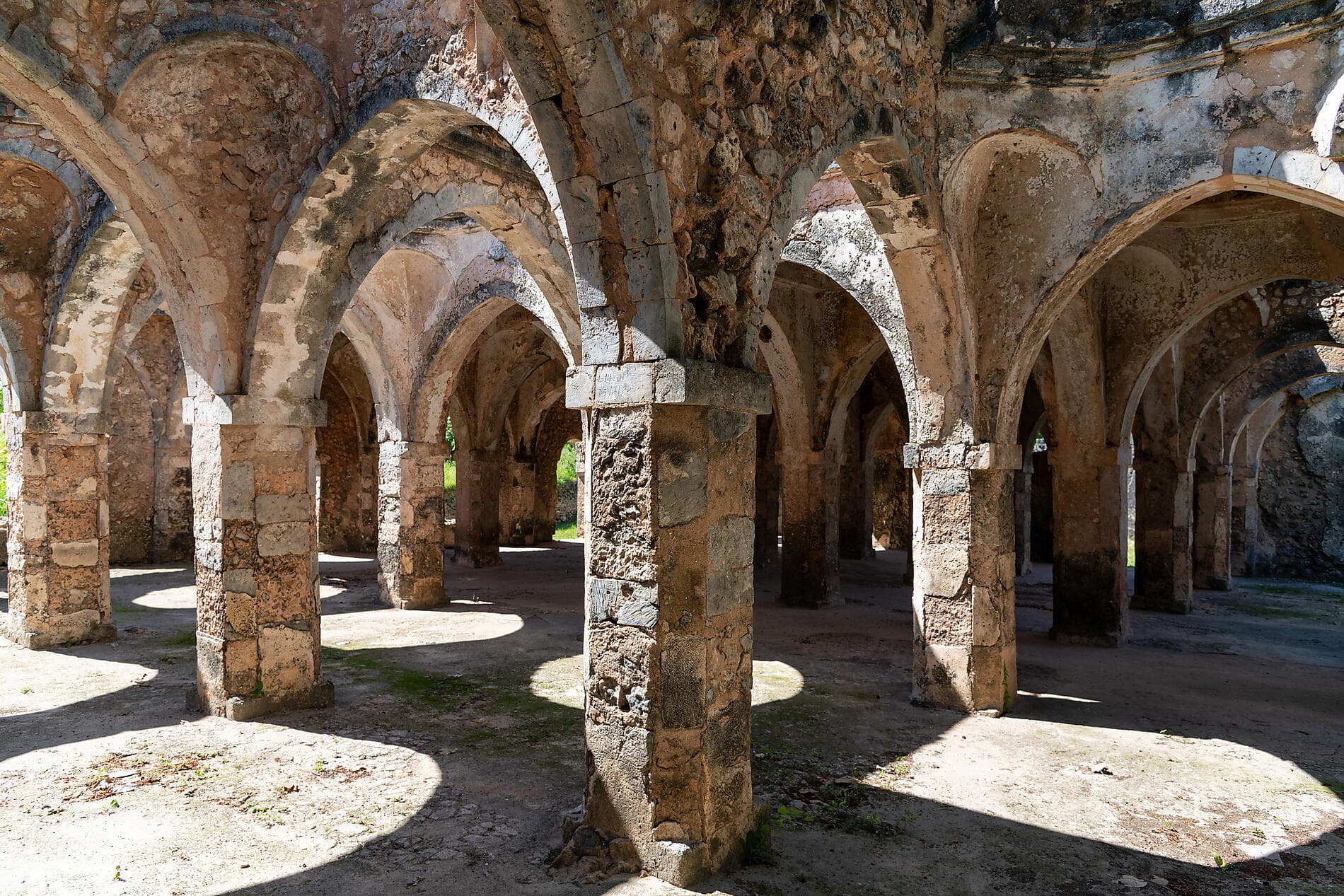 Zanzibar, Aldabra & the treasures of the Indian Ocean 