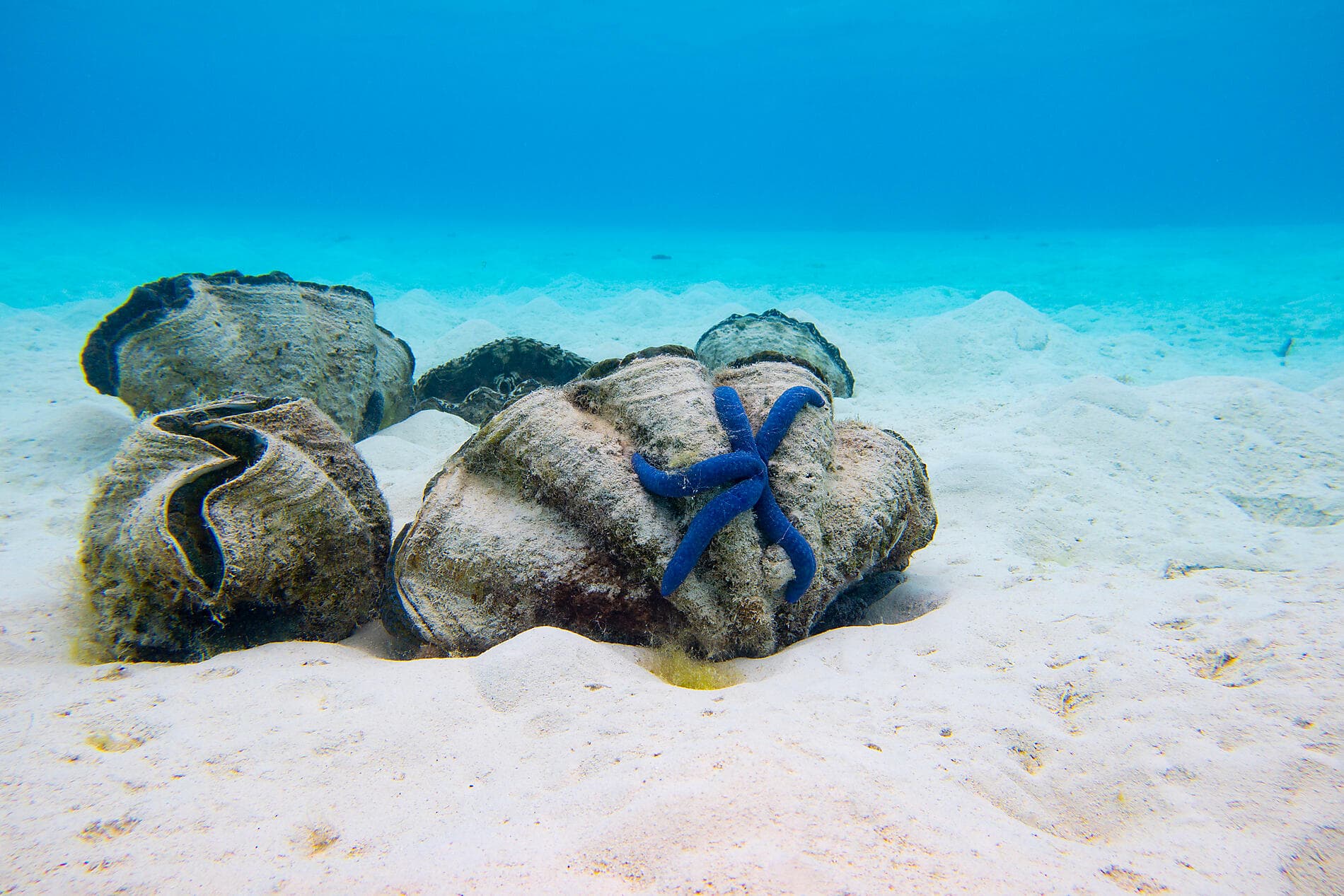 Cook Islands & Society Islands  