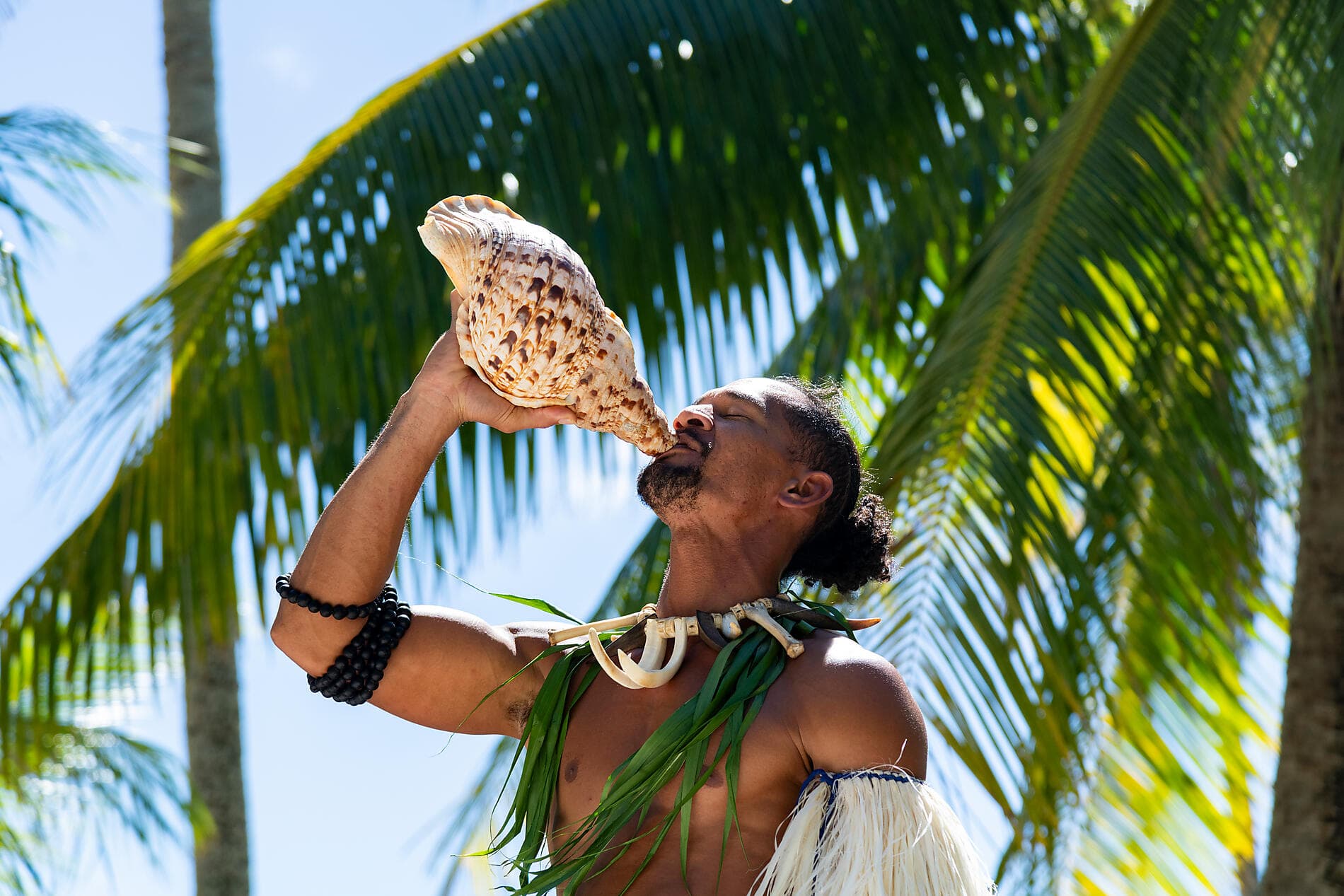 Pearls of the Society Islands 