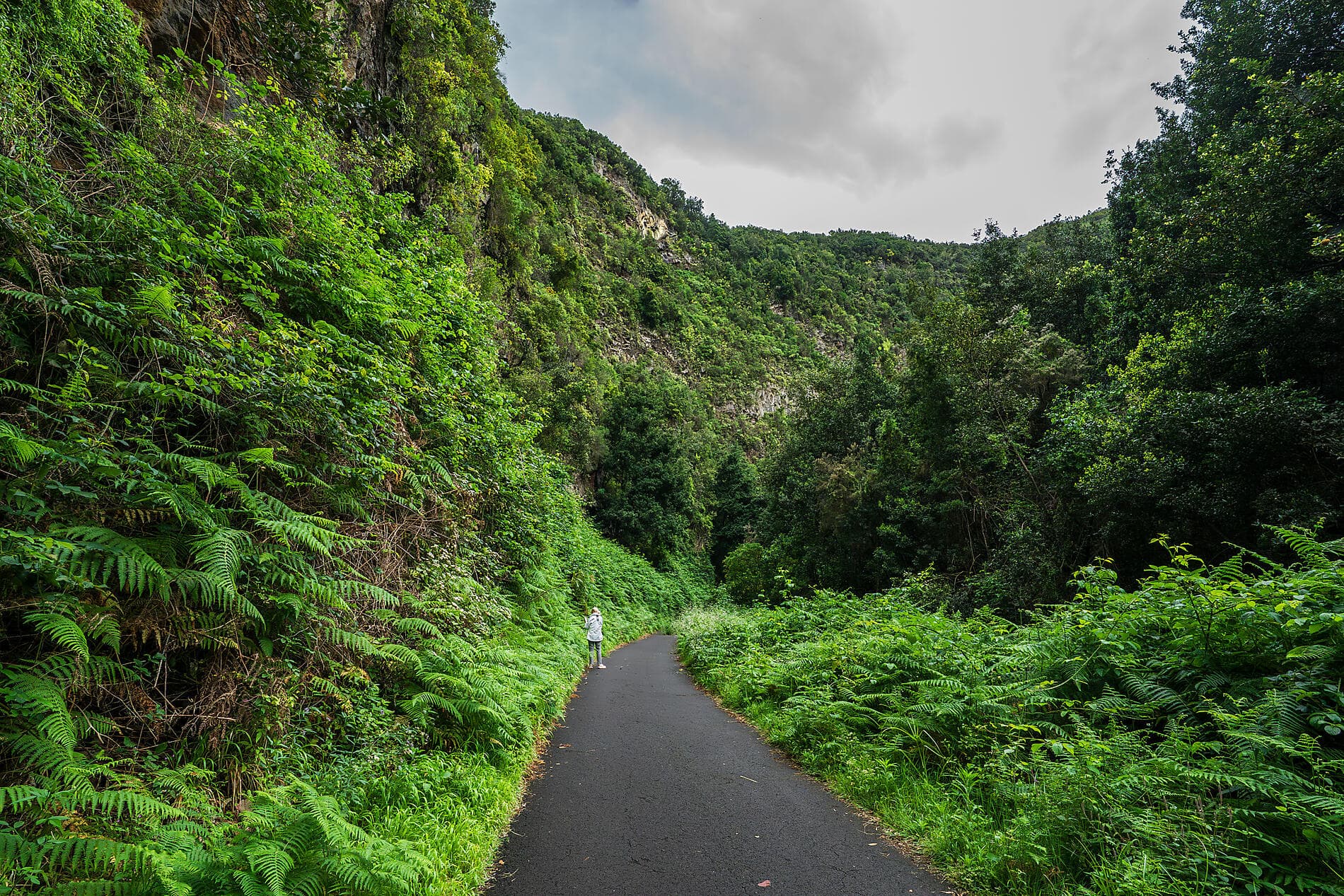 Volcanic islands and historic cities of the North Atlantic 