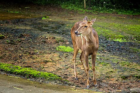 12 Jun 27 - Baewan Island