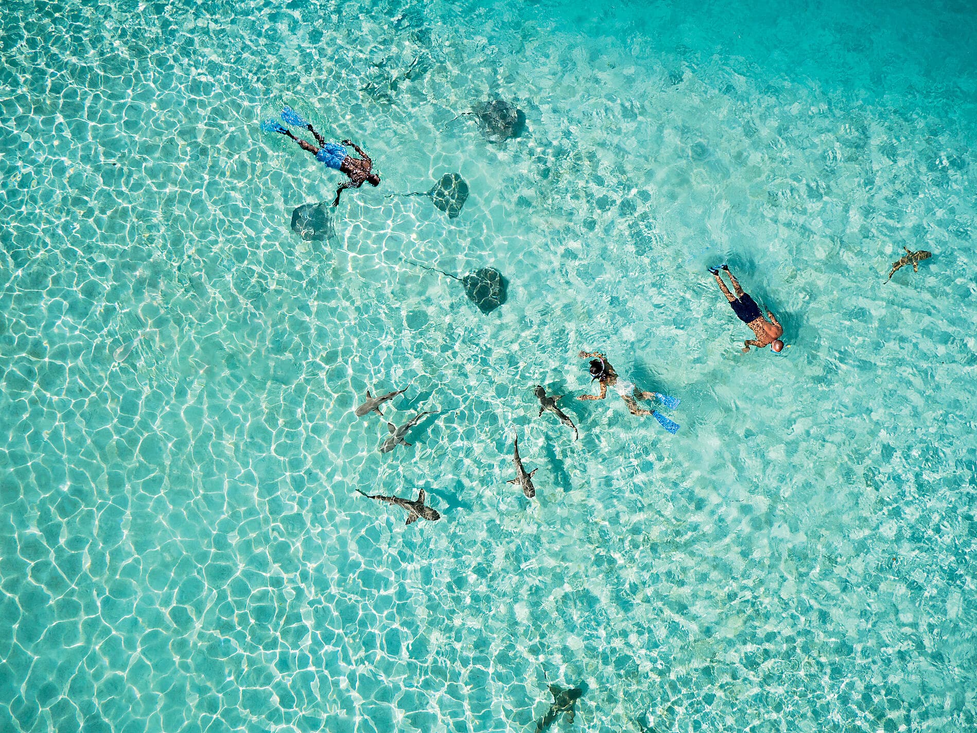 Secret Polynesia: Unexplored Tuamotu, the Gambier Islands and the Austral Islands 