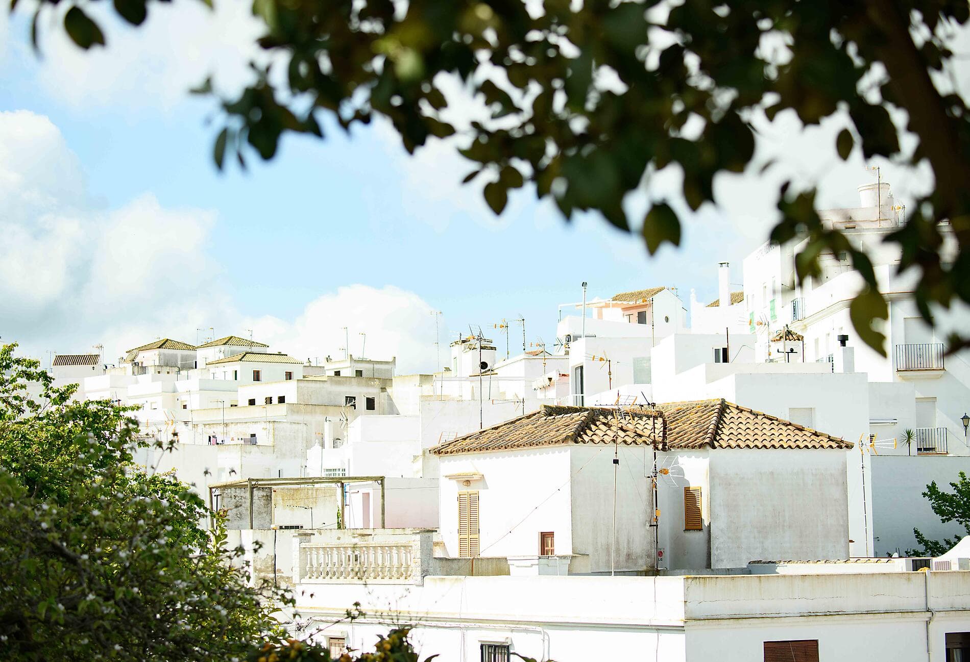 Andalusia and Moroccan shores  