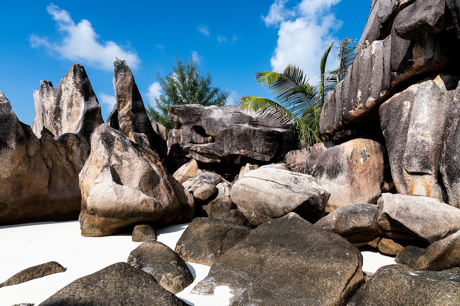Madagascar and Seychelles: Natural Treasures of the Indian Ocean – with Smithsonian Journeys