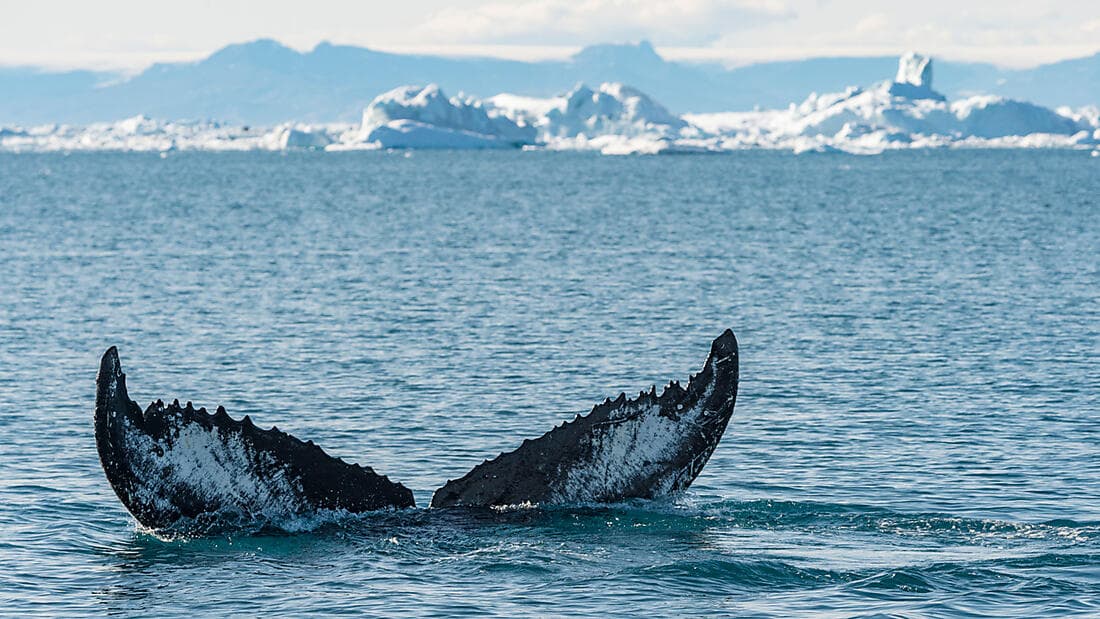 In the heart of the Northwest Passage