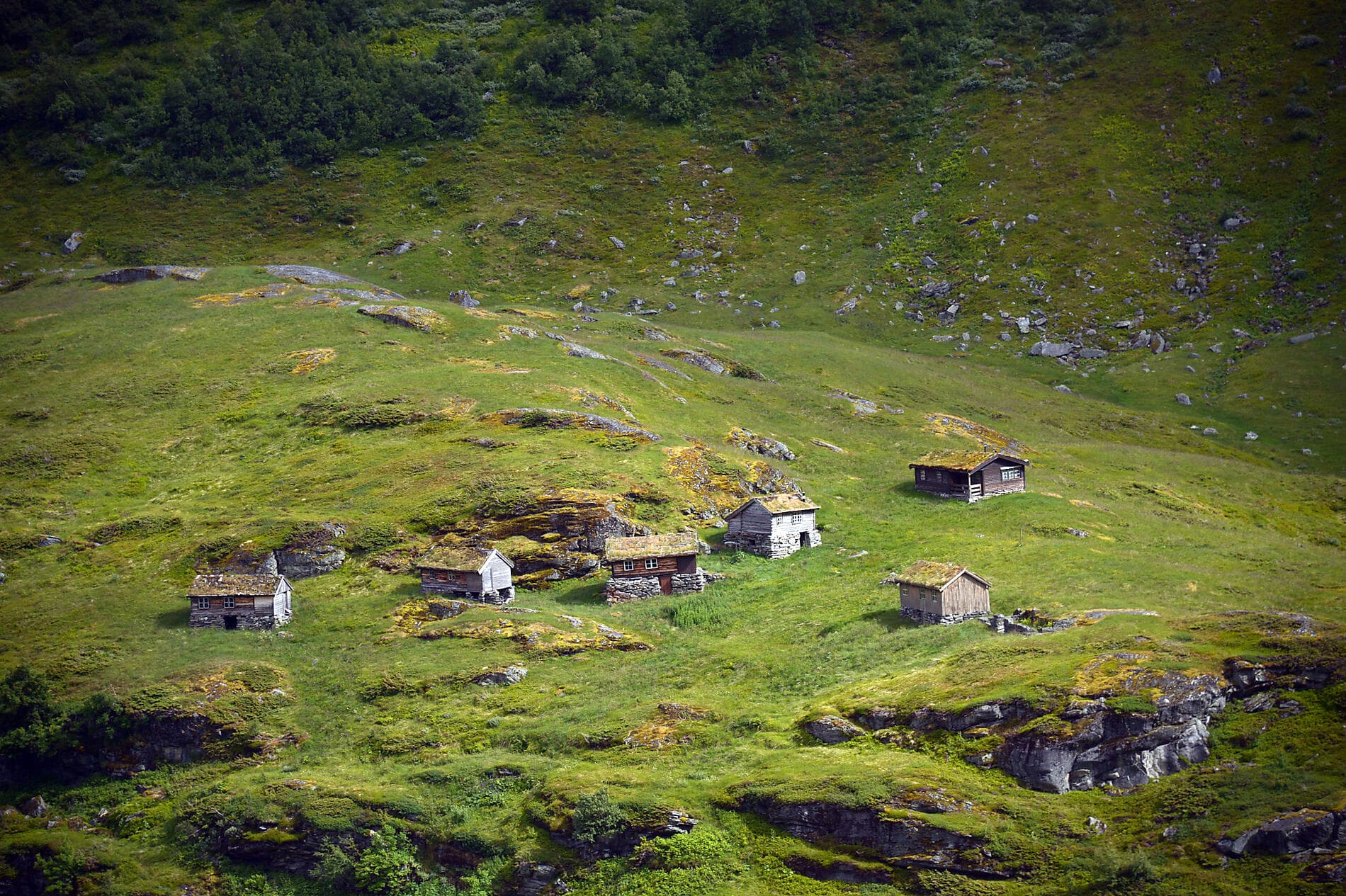 Norwegian fjords 