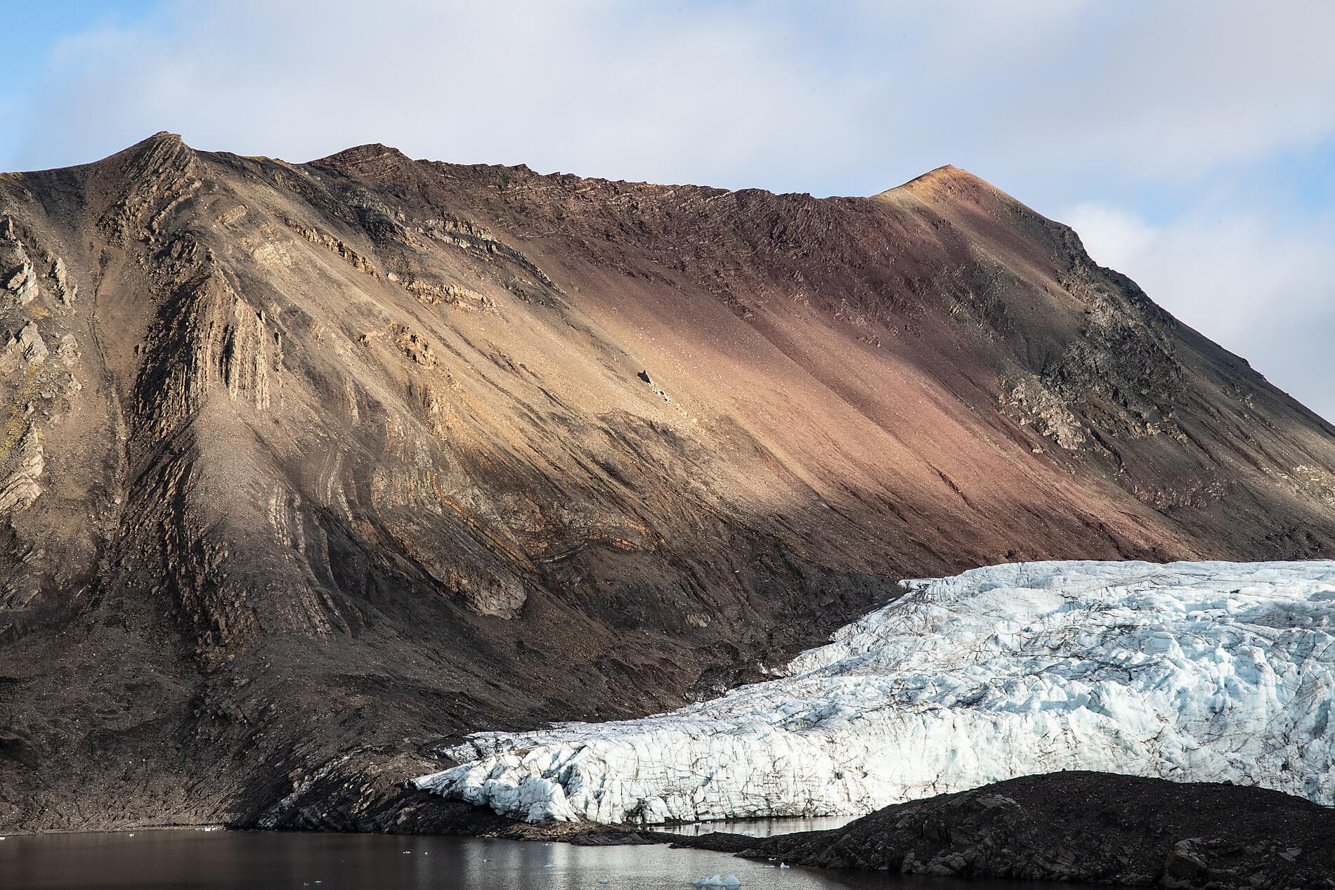 From Svalbard to Iceland: A Polar Odyssey 