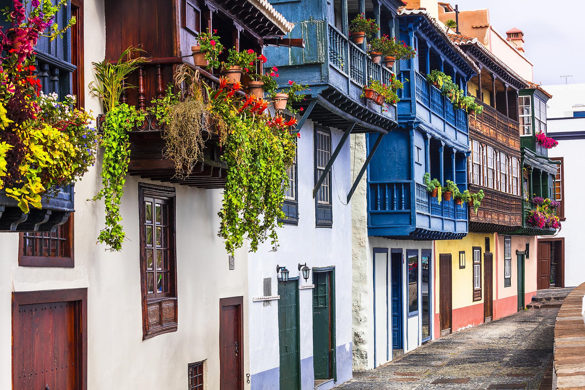 Atlantic Odyssey from the Iberian Peninsula to the Canary Islands 