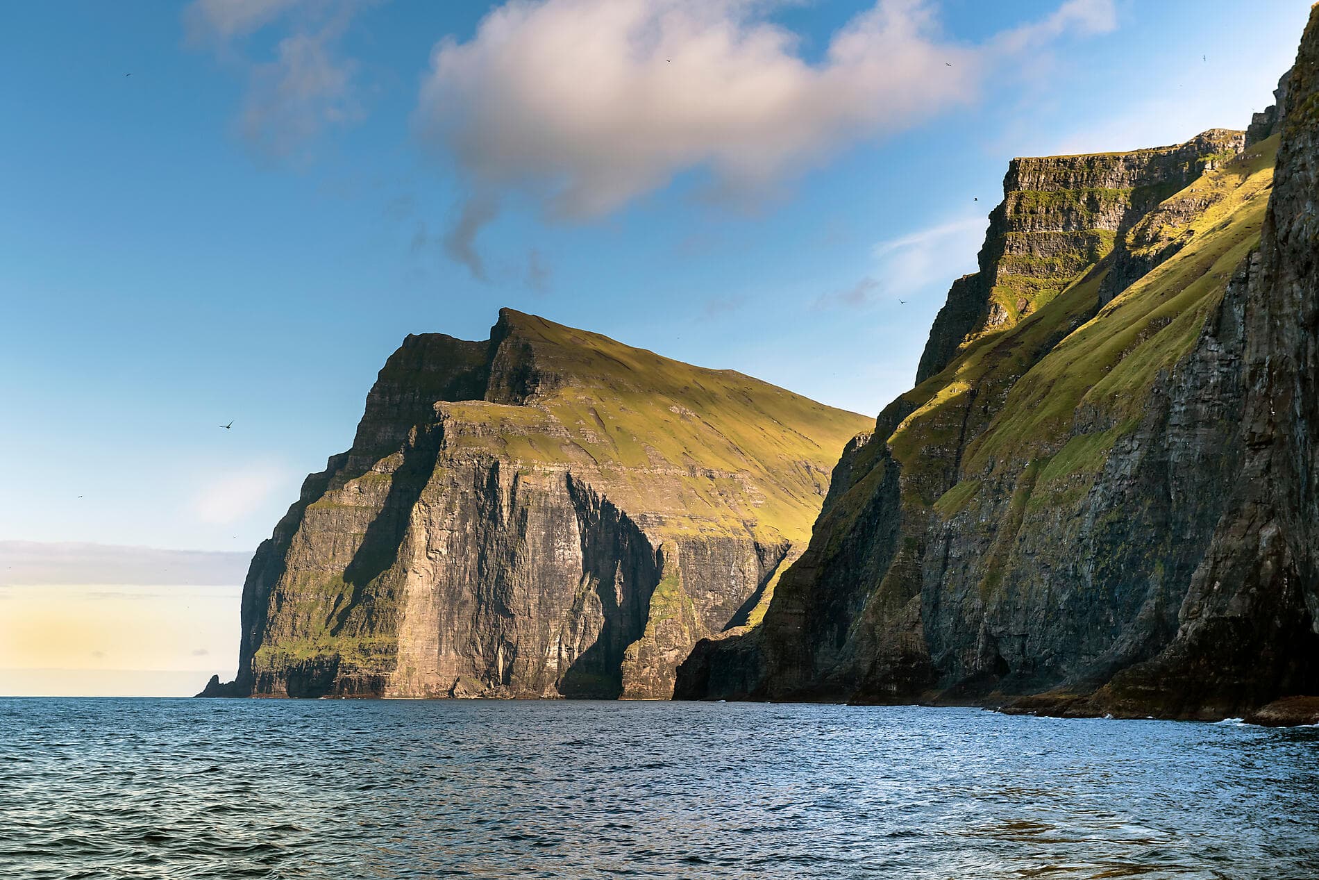The wild archipelagos of the North Atlantic  