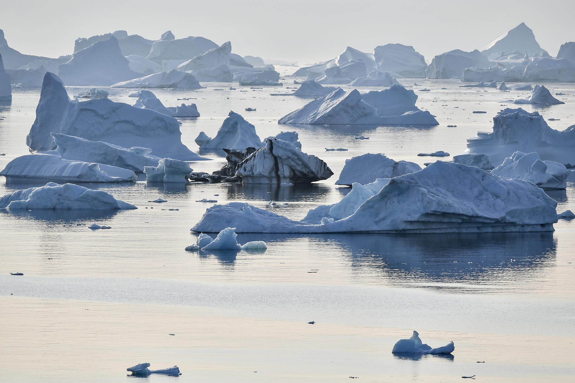 Expedition to the Thule Region 