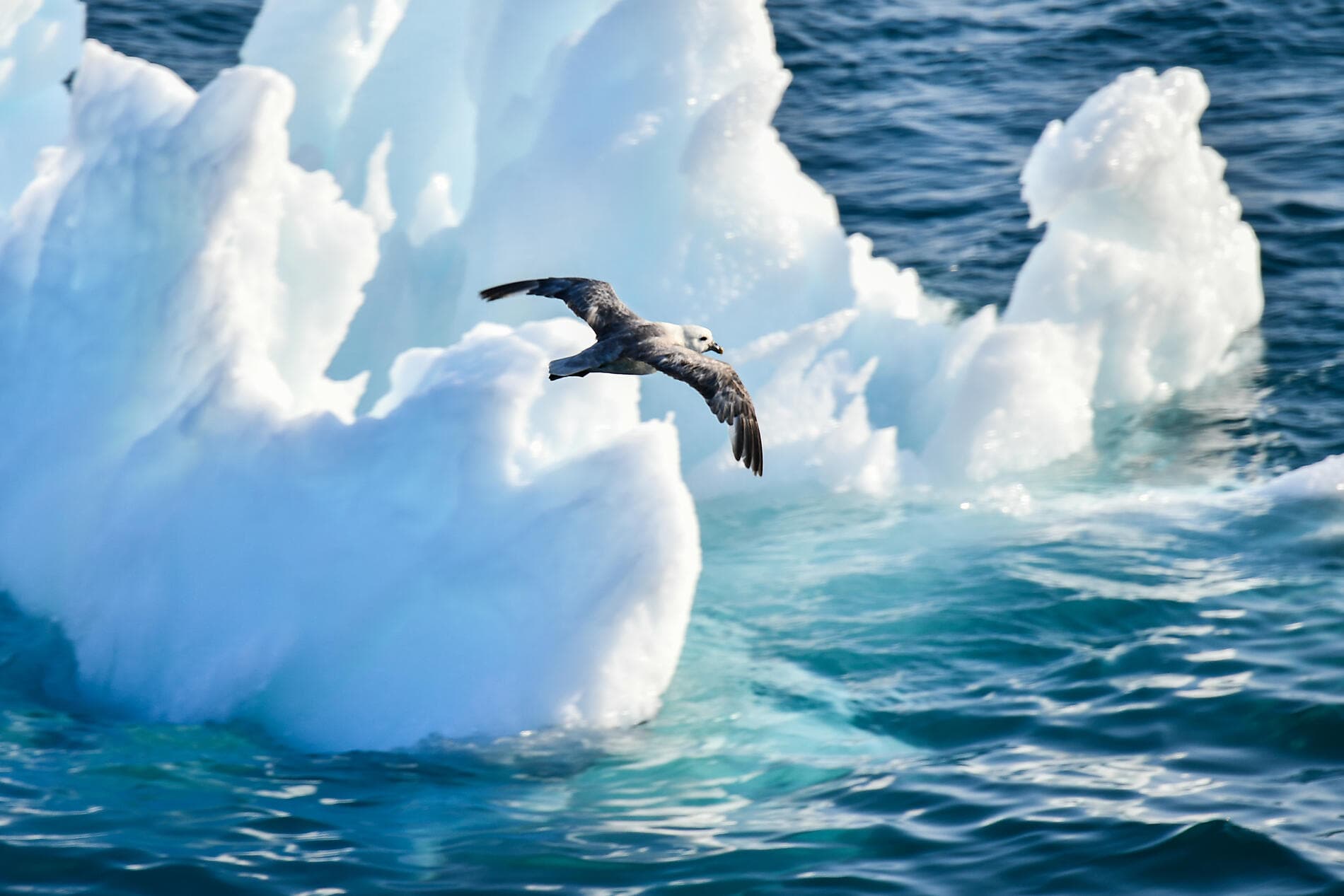 Disko Bay and Inuit villages 