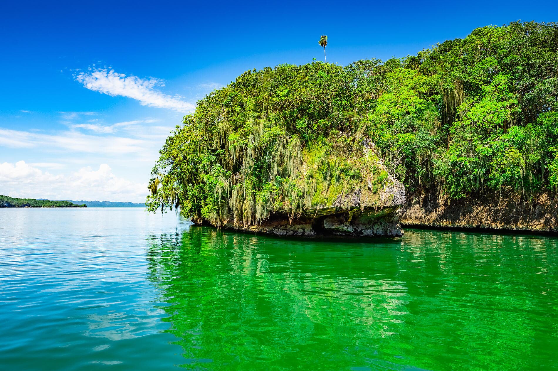 Jewels of the northern Caribbean 