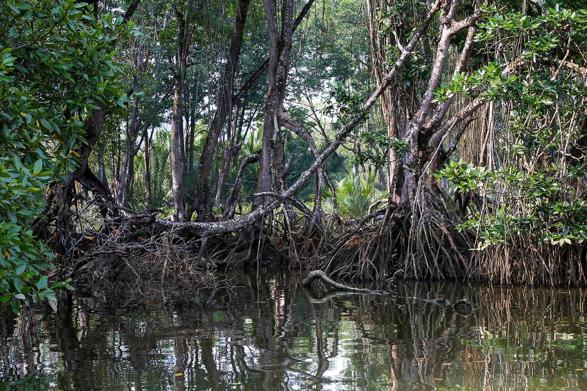 The Hidden Treasures of the Philippines and Borneo