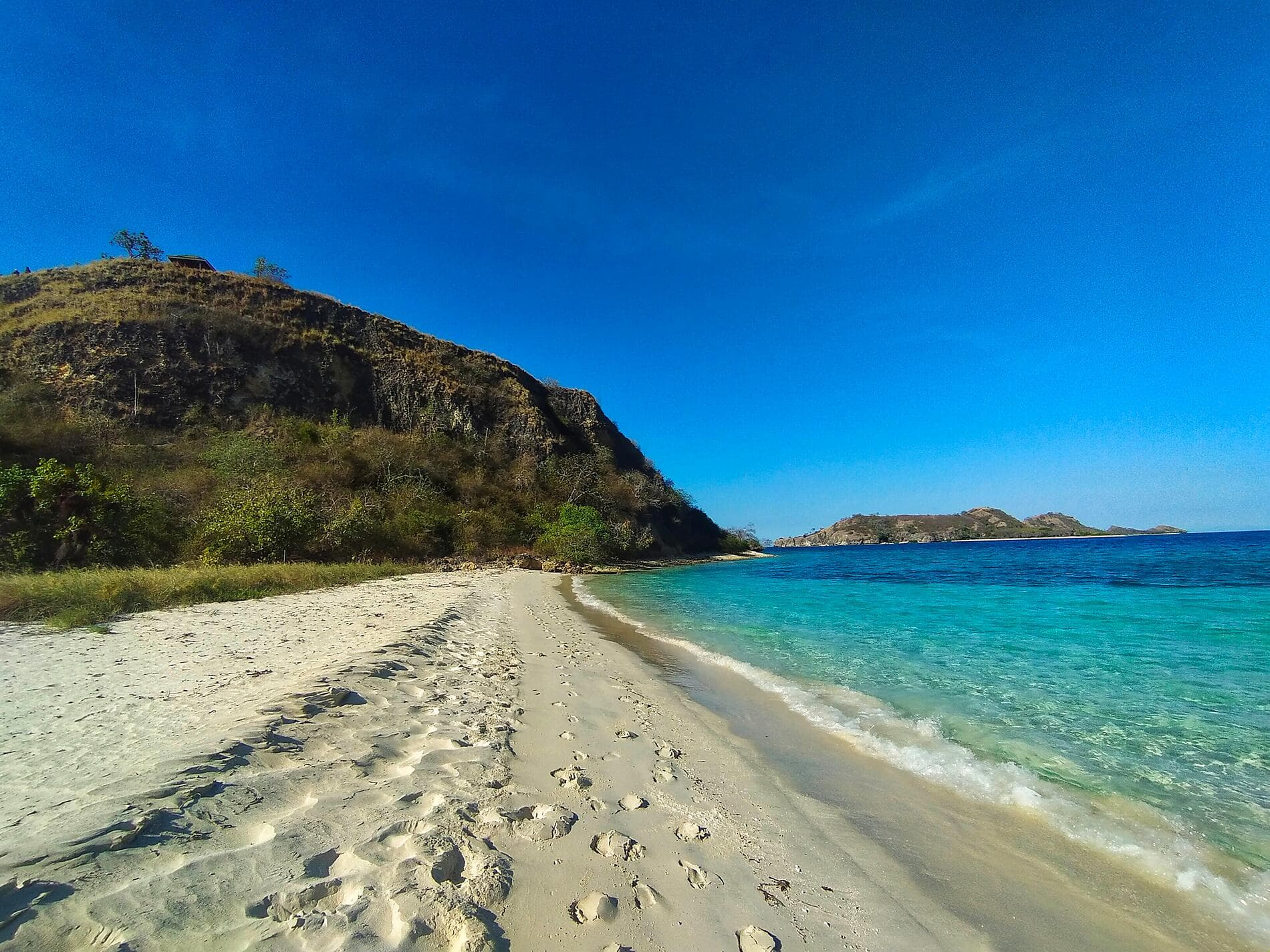 Tropical Indonesian Odyssey 