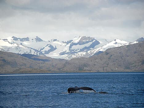 16 Nov 25 - Sailing in the Strait of Magellan